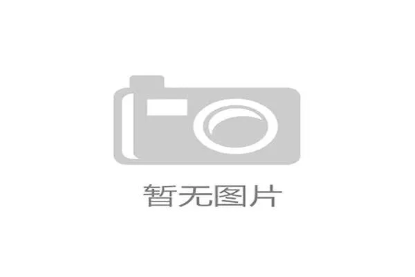 主帅索尔巴肯战术纪律严明，挪威队整体性将是世界杯赛场取胜之匙。